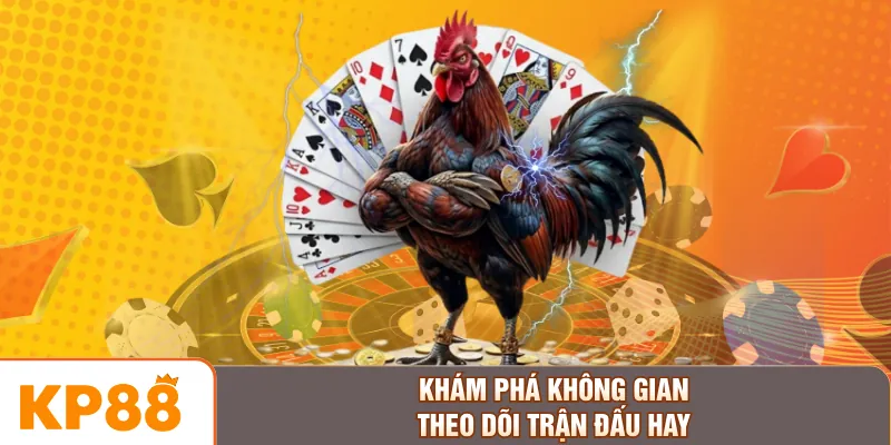 Khám phá không gian theo dõi trận đấu hay