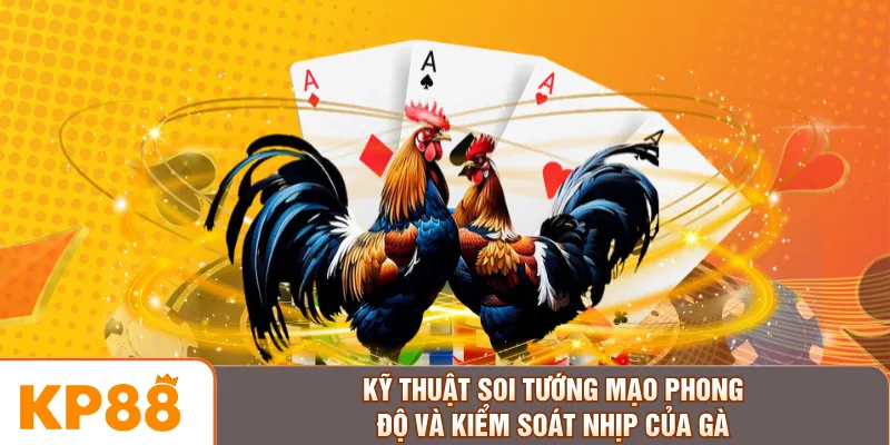 Kỹ thuật soi tướng mạo phong độ và kiểm soát nhịp của gà