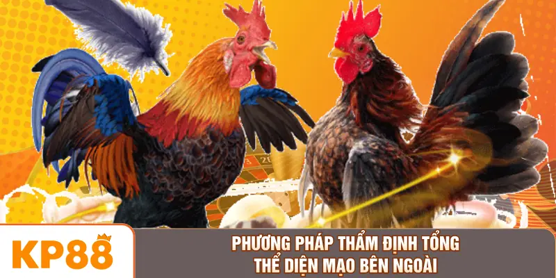 Phương pháp thẩm định tổng thể diện mạo bên ngoài