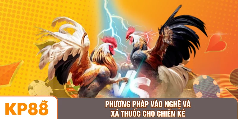 Phương pháp vào nghệ và xả thuốc cho chiến kê