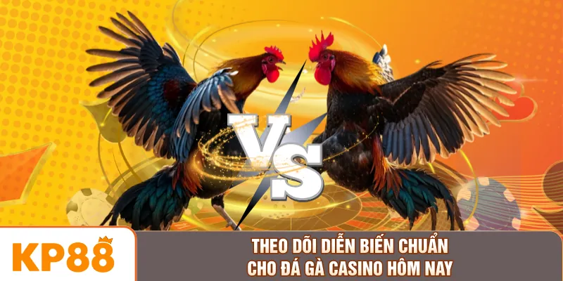 Theo dõi diễn biến chuẩn cho đá gà Casino hôm nay